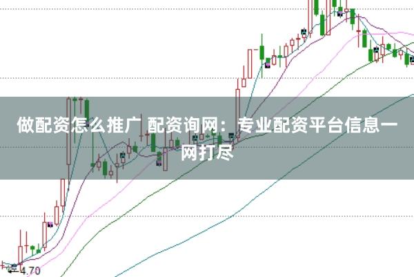 做配资怎么推广 配资询网:专业配资平台信息一网打尽