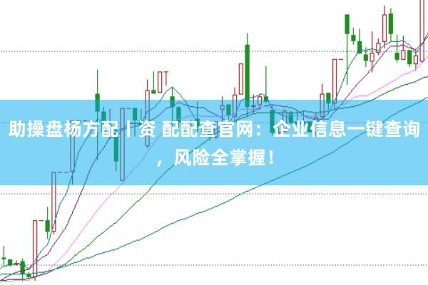 助操盘杨方配丨资 配配查官网:企业信息一键查询,风险全掌握!
