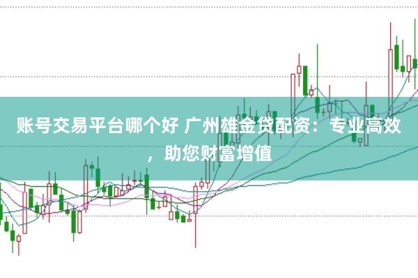 账号交易平台哪个好 广州雄金贷配资：专业高效，助您财富增值