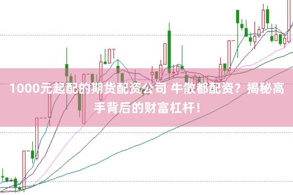 1000元起配的期货配资公司 牛散都配资?揭秘高手背后的财富杠杆!