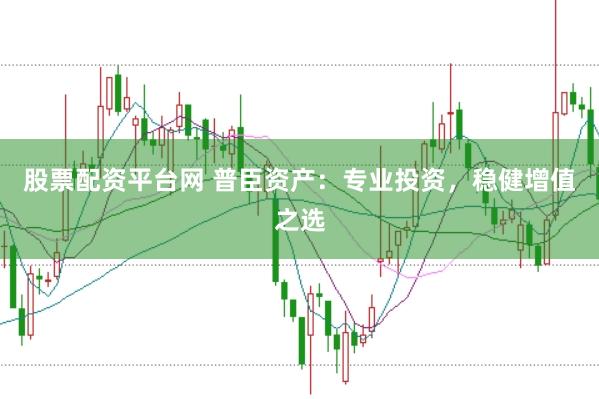 股票配资平台网 普臣资产：专业投资，稳健增值之选
