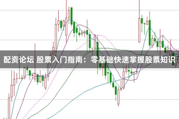 配资论坛 股票入门指南：零基础快速掌握股票知识