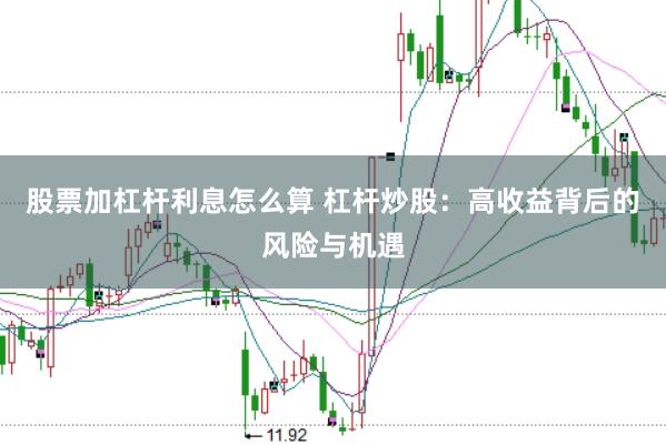 股票加杠杆利息怎么算 杠杆炒股:高收益背后的风险与机遇