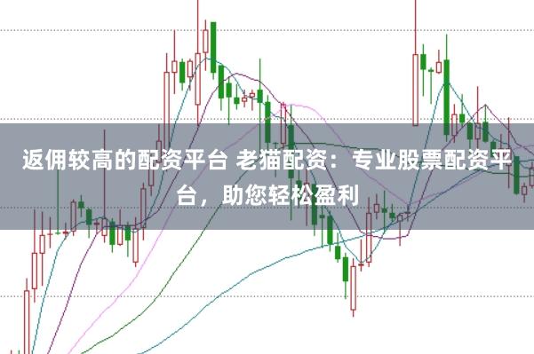 返佣较高的配资平台 老猫配资：专业股票配资平台，助您轻松盈利