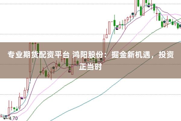专业期货配资平台 鸿阳股份：掘金新机遇，投资正当时