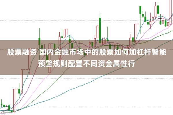 股票融资 国内金融市场中的股票如何加杠杆智能预警规则配置不同资金属性行