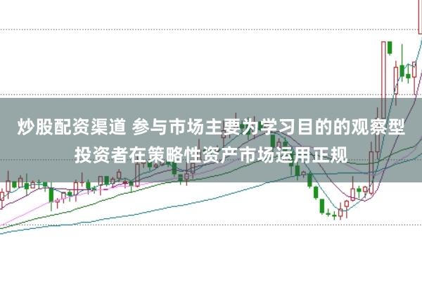 炒股配资渠道 参与市场主要为学习目的的观察型投资者在策略性资产市场运用正规