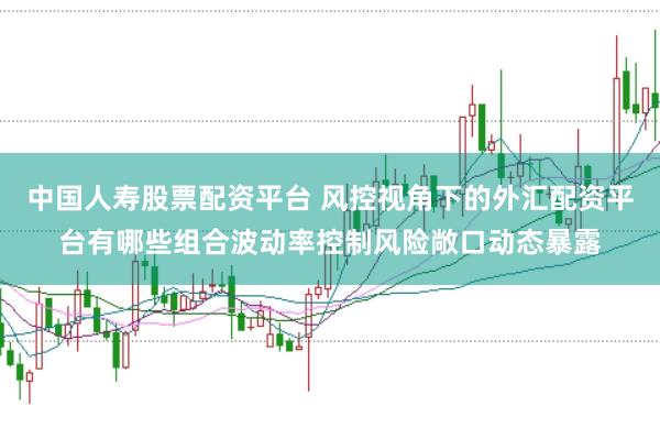 中国人寿股票配资平台 风控视角下的外汇配资平台有哪些组合波动率控制风险敞口动态暴露