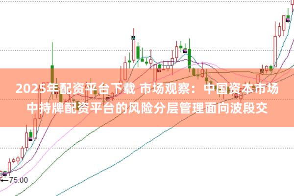2025年配资平台下载 市场观察：中国资本市场中持牌配资平台的风险分层管理面向波段交