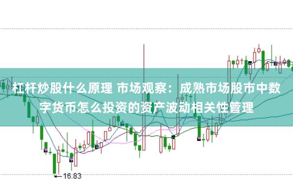 杠杆炒股什么原理 市场观察：成熟市场股市中数字货币怎么投资的资产波动相关性管理