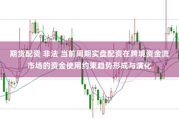 期货配资 非法 当前周期实盘配资在跨境资金流市场的资金使用约束趋势形成与演化