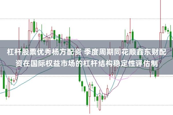 杠杆股票优秀杨方配资 季度周期同花顺鑫东财配资在国际权益市场的杠杆结构稳定性评估制
