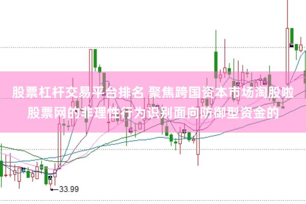股票杠杆交易平台排名 聚焦跨国资本市场淘股啦股票网的非理性行为识别面向防御型资金的