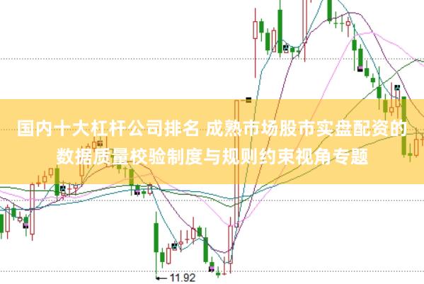 国内十大杠杆公司排名 成熟市场股市实盘配资的数据质量校验制度与规则约束视角专题