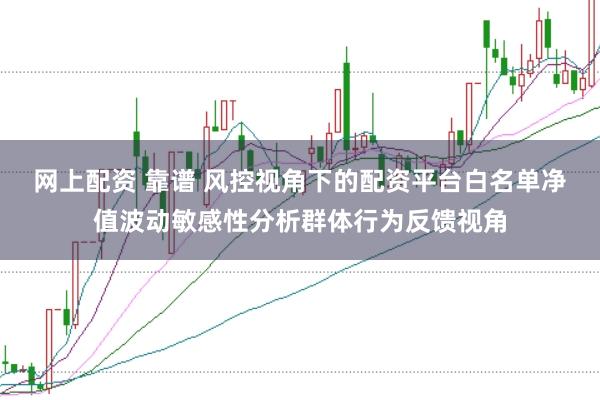 网上配资 靠谱 风控视角下的配资平台白名单净值波动敏感性分析群体行为反馈视角