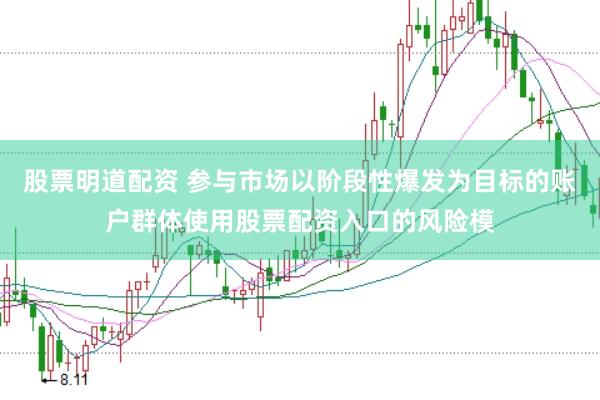 股票明道配资 参与市场以阶段性爆发为目标的账户群体使用股票配资入口的风险模