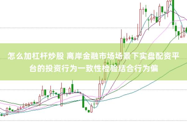 怎么加杠杆炒股 离岸金融市场场景下实盘配资平台的投资行为一致性检验结合行为偏