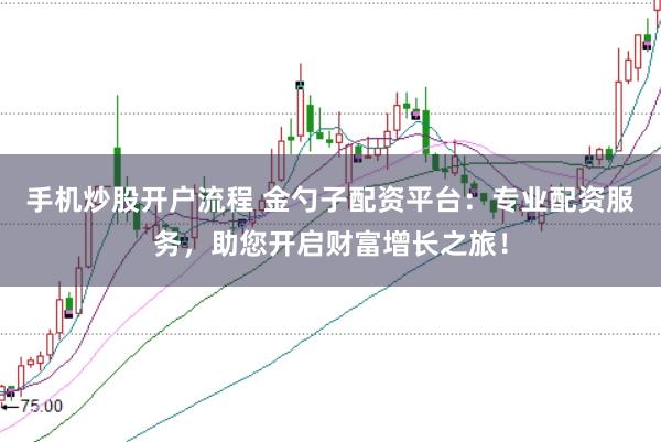 手机炒股开户流程 金勺子配资平台：专业配资服务，助您开启财富增长之旅！
