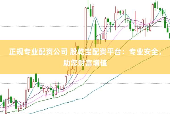 正规专业配资公司 股乾宝配资平台:专业安全,助您财富增值