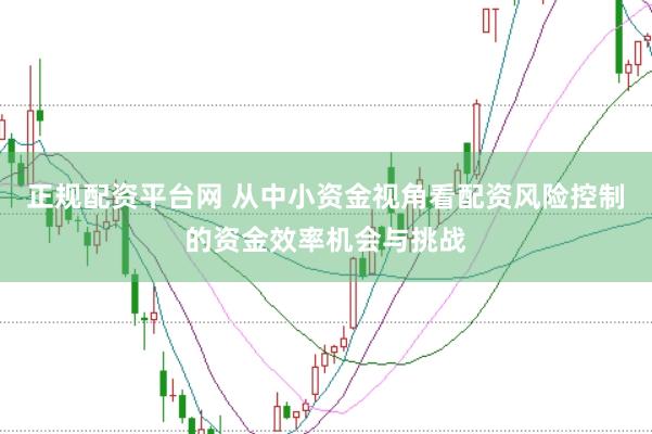 正规配资平台网 从中小资金视角看配资风险控制的资金效率机会与挑战