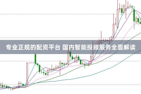 专业正规的配资平台 国内智能投顾服务全面解读