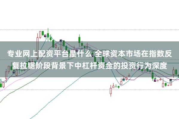 专业网上配资平台是什么 全球资本市场在指数反复拉锯阶段背景下中杠杆资金的投资行为深度
