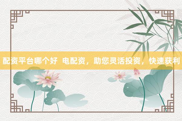 配资平台哪个好  电配资，助您灵活投资，快速获利