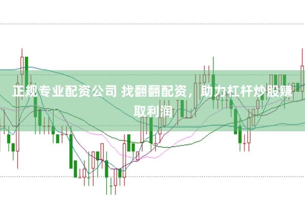 正规专业配资公司 找翻翻配资，助力杠杆炒股赚取利润
