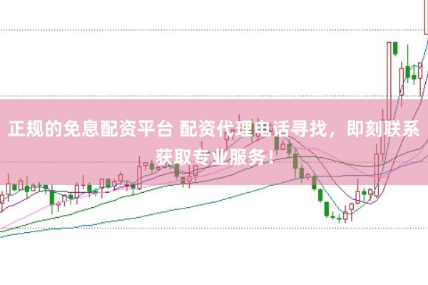 正规的免息配资平台 配资代理电话寻找，即刻联系获取专业服务！