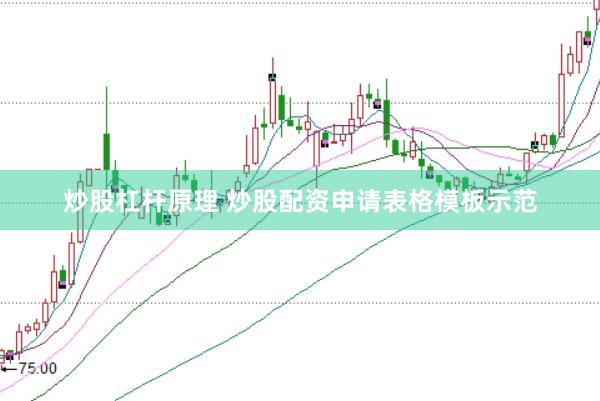 炒股杠杆原理 炒股配资申请表格模板示范