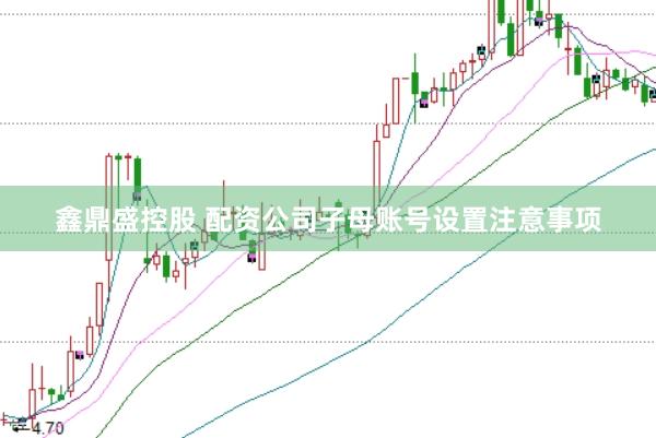 鑫鼎盛控股　 配资公司子母账号设置注意事项