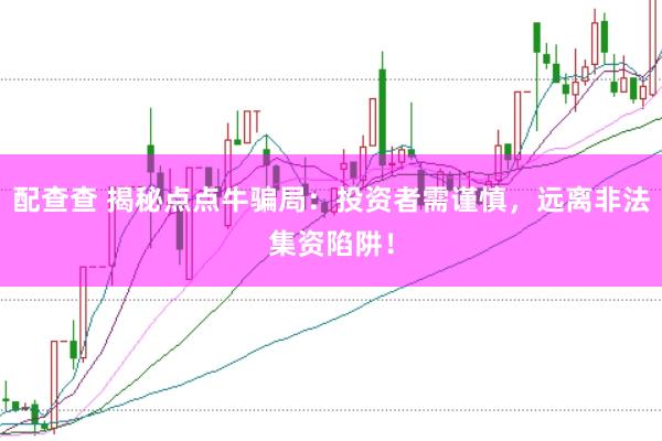 配查查 揭秘点点牛骗局：投资者需谨慎，远离非法集资陷阱！